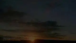 Rush Of Fools - Lose It All (With Lyrics)