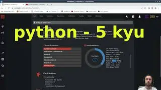 Мои результаты на Codewars за всё время