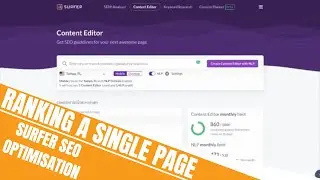 How to Rank a Single Page for Thousands of Keywords | Surfer SEO Optimisation