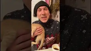 Наша радость #деревня #nature #village #козы #shortvideo #shorts #short