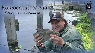 Котовский залив, Рыбалка на маховую удочку Волжанка Оптима,  ловим Леща на поплавок )) Долгопрудный
