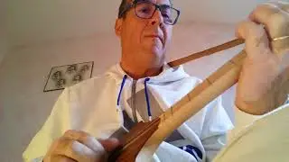 Stairway To Heaven - Led Zeppelin Cover - Seagull Merlin