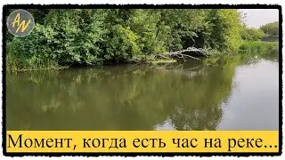 Когда есть час на рыбалку. За голавлем!