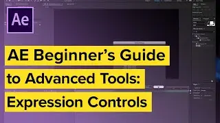 After Effects Beginner’s Guide to Advanced Tools: Expression Controls