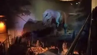 natural history museum