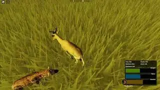 hyena vs cokes hartebeest pvp