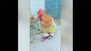 МЕШОК СМЕХА  И УДИВЛЕНИЙ ! КАК ТАКОЕ МОЖНО СДЕЛАТЬ ?!