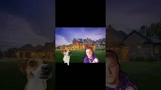 Неожиданный конец #shorts #meme #dog #рекомендации