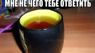 МНЕ НЕЧЕГО ТЕБЕ ОТВЕТИТЬ
