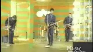 Soap Disco - Kara's Flowers
