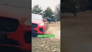 Elegant Jaguar on mud offroad