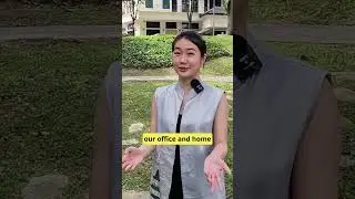 Differences between Singapore and Indonesia 