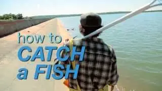 How to catch a fish