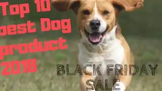 BLACK FRIDAY DEAL - TOP 10 Best Deals of Dog Product 2018| Edgy Trend