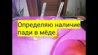 Определяю наличие пади в мёде