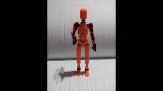 dummy 13
