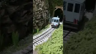 Introducing Tommy The Light Engine