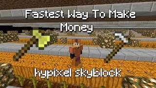 QUICKEST WAY TO MAKE TONS OF MONEY - Hypixel Skyblock
