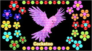 10 Types of Parrots for Kids 🦜 | Parrot Names & Sounds | Learn English Words & Fun Vocabulary