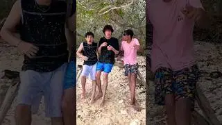 Firulais se baña en la playa 😂#comedy #humor