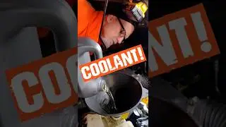 How To Check Coolant in Almost Any Vehicle