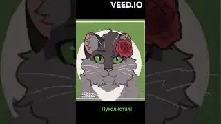 на сколько хорошо ты знаешь моих КВ?(чит опис)