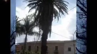 Coroico