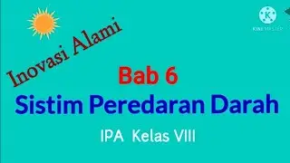 Sistim Peredaran Darah Manusia