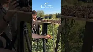 How to record the growth of grasses#kfconcept #kfconcepttripod #creativeideas #tutorial #btsshorts