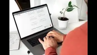 tool and languages used by Web developer Vs Web designer