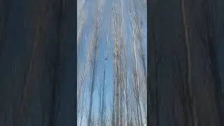 зоги сиёх АЛЛОХ мегуяд мучиза