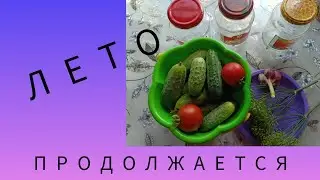 ЛЕТО ПРОДОЛЖАЕТСЯ