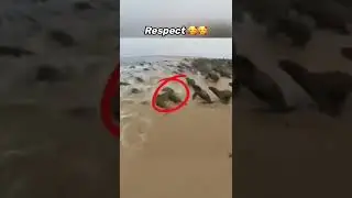 Random Acts Of Kindness - Faith In Humanity Restored 