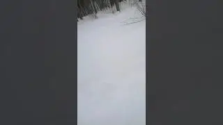 газ 66 в подьем чуть не вытянул