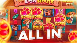 РИСКНУЛ ВСЕМ И ПОШЕЛ В ALL IN !! ПОДНЯЛ ЛЯМ ?? ЗАНОС В THE DOG HOUSE MEGAWAYS !! ( ЗАНОСЫ НЕДЕЛИ )