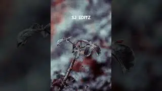 lightroom tutorial 
