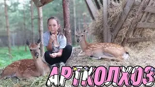Поездка в г. Киржач Арт-колхоз (Оленья ферма) 