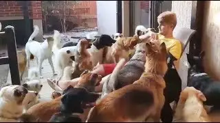 Съели Заживо.Весь мир говорит про это видео!