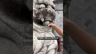 How did they put it there? 🦁🪨🤔