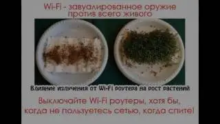 эксперимент с проращиванием на wi-fi часть 1