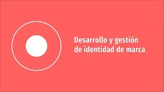 Desarrollo y gestión de identidad de marca