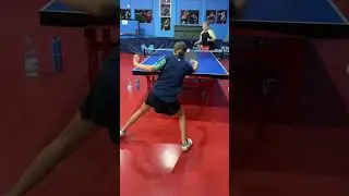 Estacions 🏓