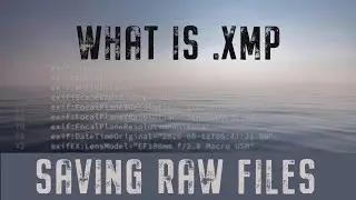 .xmp What is a .xmp File, why I keep them and how to get rid of it.