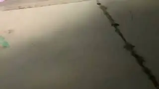 Monkey throws the krabby patty