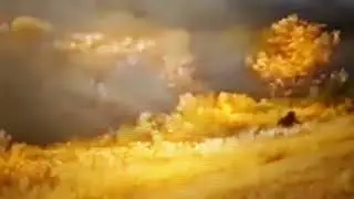 BIGFOOT IS REAL WATCH THIS AND BELIEVE