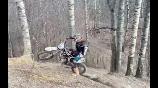 Шапито -- это цирк!