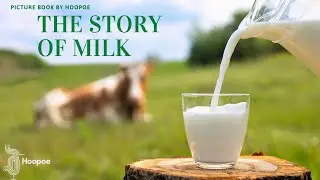 Story# 4 | THE STORY OF MILK | Picture Book Story | Under 6 Reading #hoopoeenglish #english