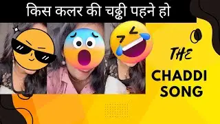 THE CHADDI SONG l किस कलर की चढ्ढी पहने हो l Viral Meme Song l