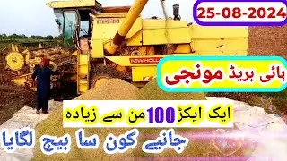 Average of Hybrid dhan per acre || which hybrid dhan seed average is 100 man fee acre || best seed