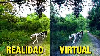 Perros en realidad virtual | Episodio #118